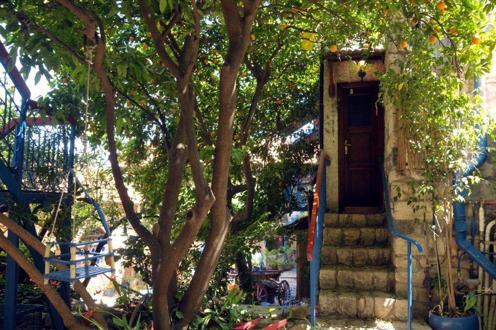 روش بينا Villa Tehila - By V Club Chain المظهر الخارجي الصورة